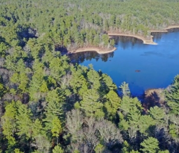 MuddyPond by harry white