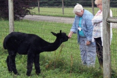 linda and diane with alpaca